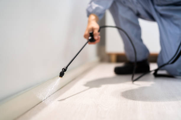 Licensed Pest Control service in Akron, CO - Show Me Pest Control