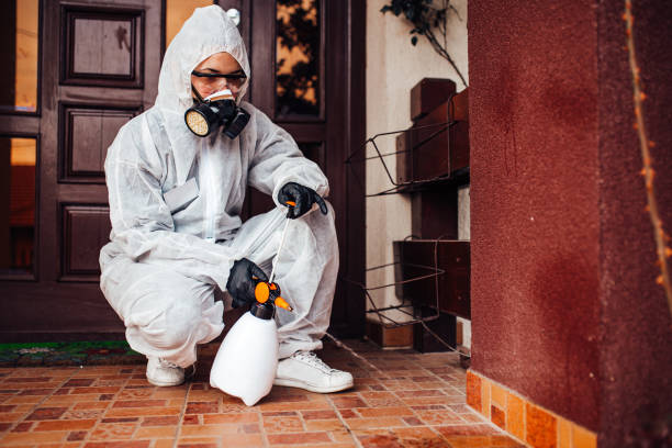 Attic and Crawl Space Rodent Treatment in Akron